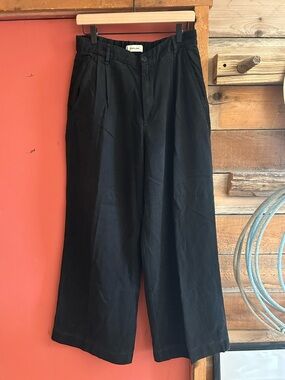 Everlane Pleated Chinos